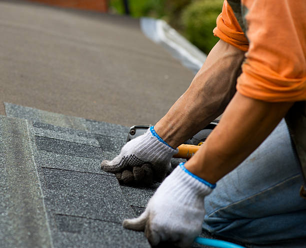 Best Roof Maintenance Services  in Brush Prairie, WA