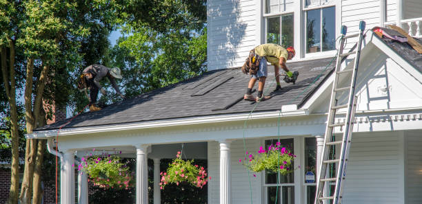 Roof Gutter Cleaning in Brush Prairie, WA
